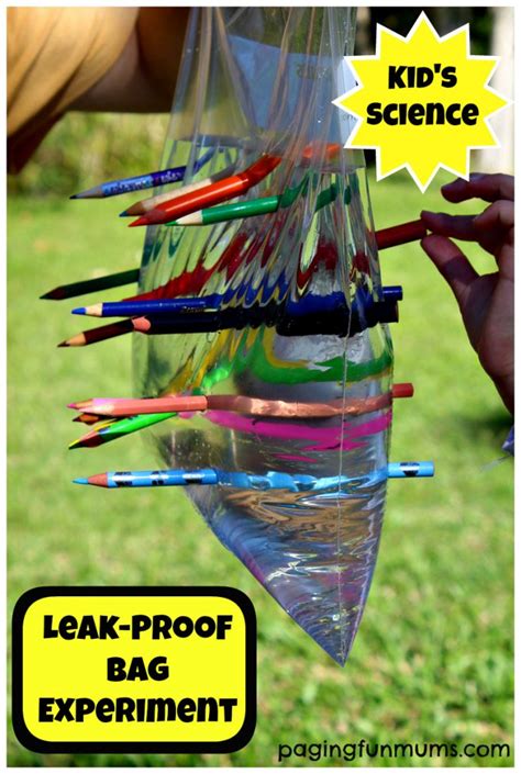 Leak Proof Bag Science Experiment for Kids